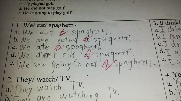 Spaghetti or a spaghetti?